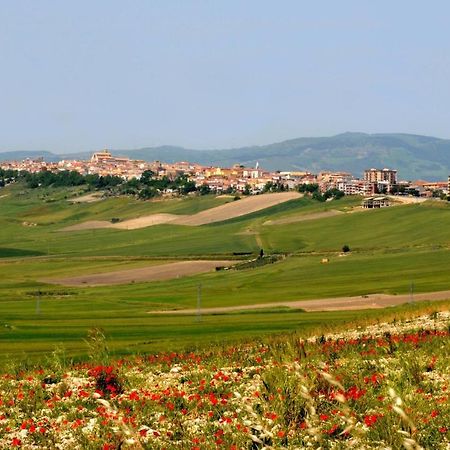 Alloggio Cattedrale Troia 外观 照片